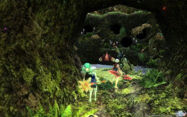 森へ行きましょう～雨風とともに