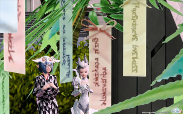 短冊に願いを込めがね