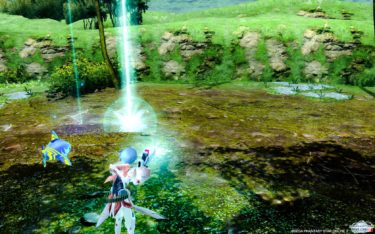 心はチョコレート、ときどきピクルス