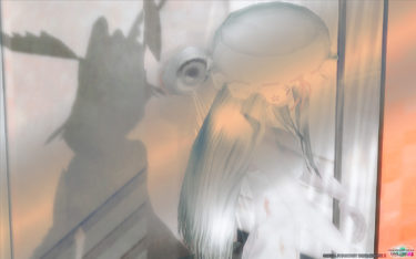 カリギューラと嘘とビデオテープ