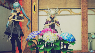 夏の色を探しに